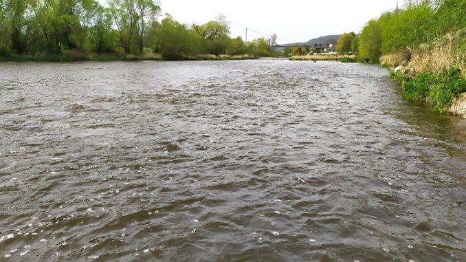2020-04-25-13-25-45 Muškaření Berounka v Praze