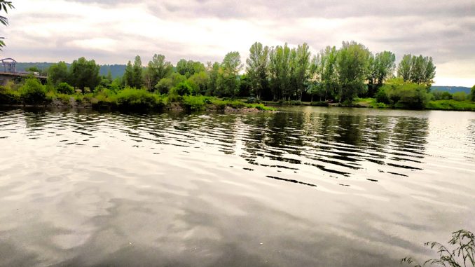 2020-06-11-15-43-27 Vltava 7 - začátek revíru na soutoku Vltavy a Berounky