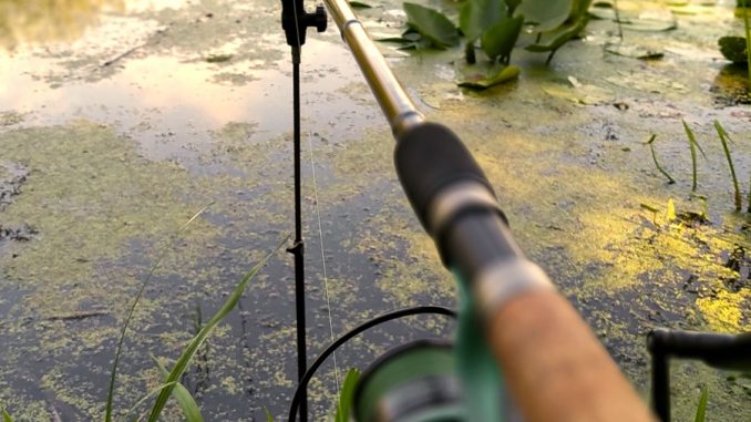 Jak-chytat-na-feeder Mnozí si lámou krček jak chytat na feeder