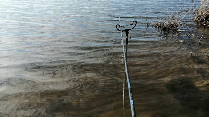 Feederprut jak vybrat feeder