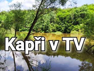 Sledujete seriál Kapří monstra v TV?