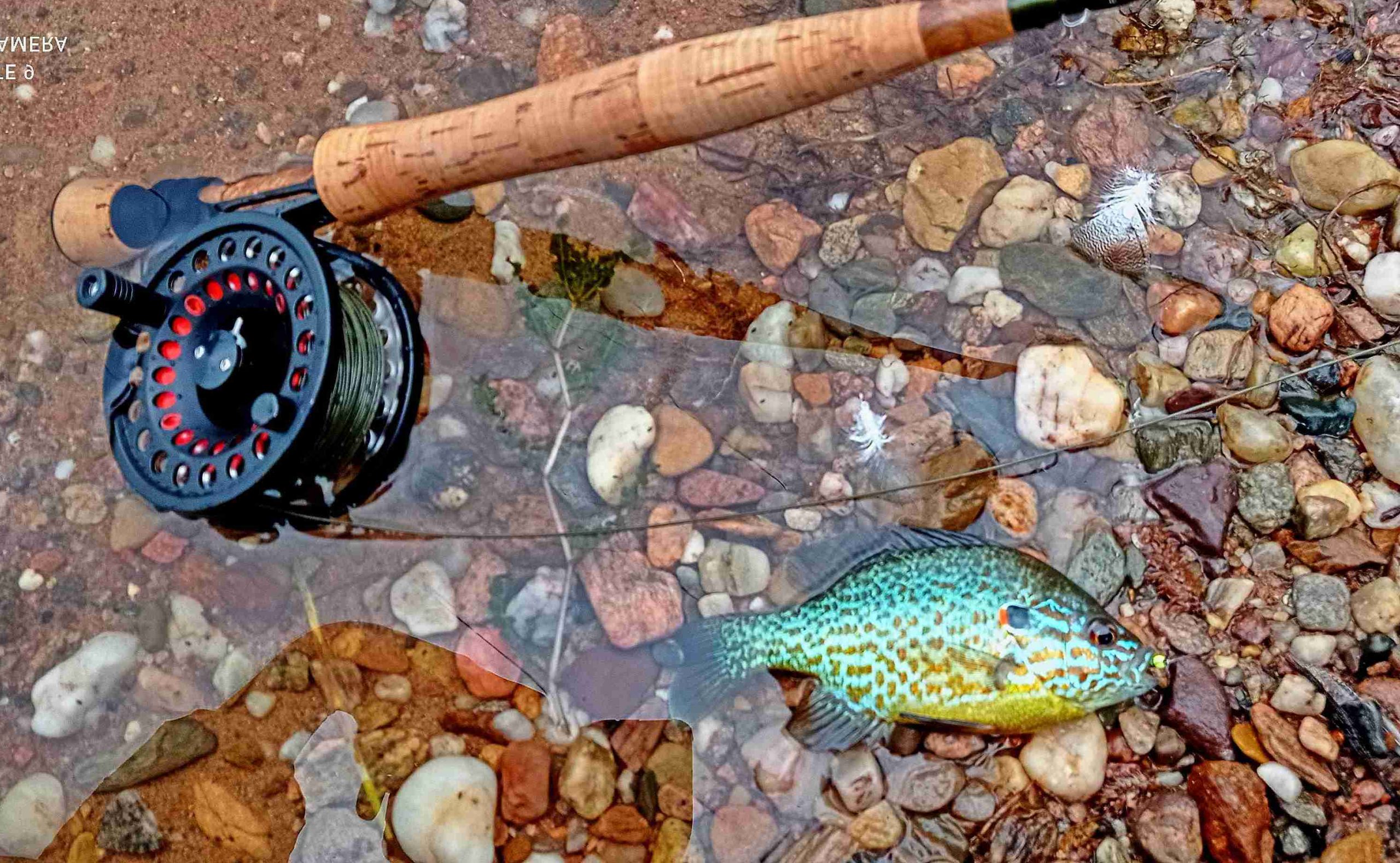 Muškaření z boatu (fly fishing from a belly boat ) 