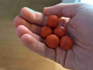 Hrst boilies, jedna z možností na co chytat kapry v létě je právě tato nástraha.