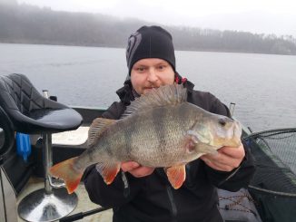 okoun 40+