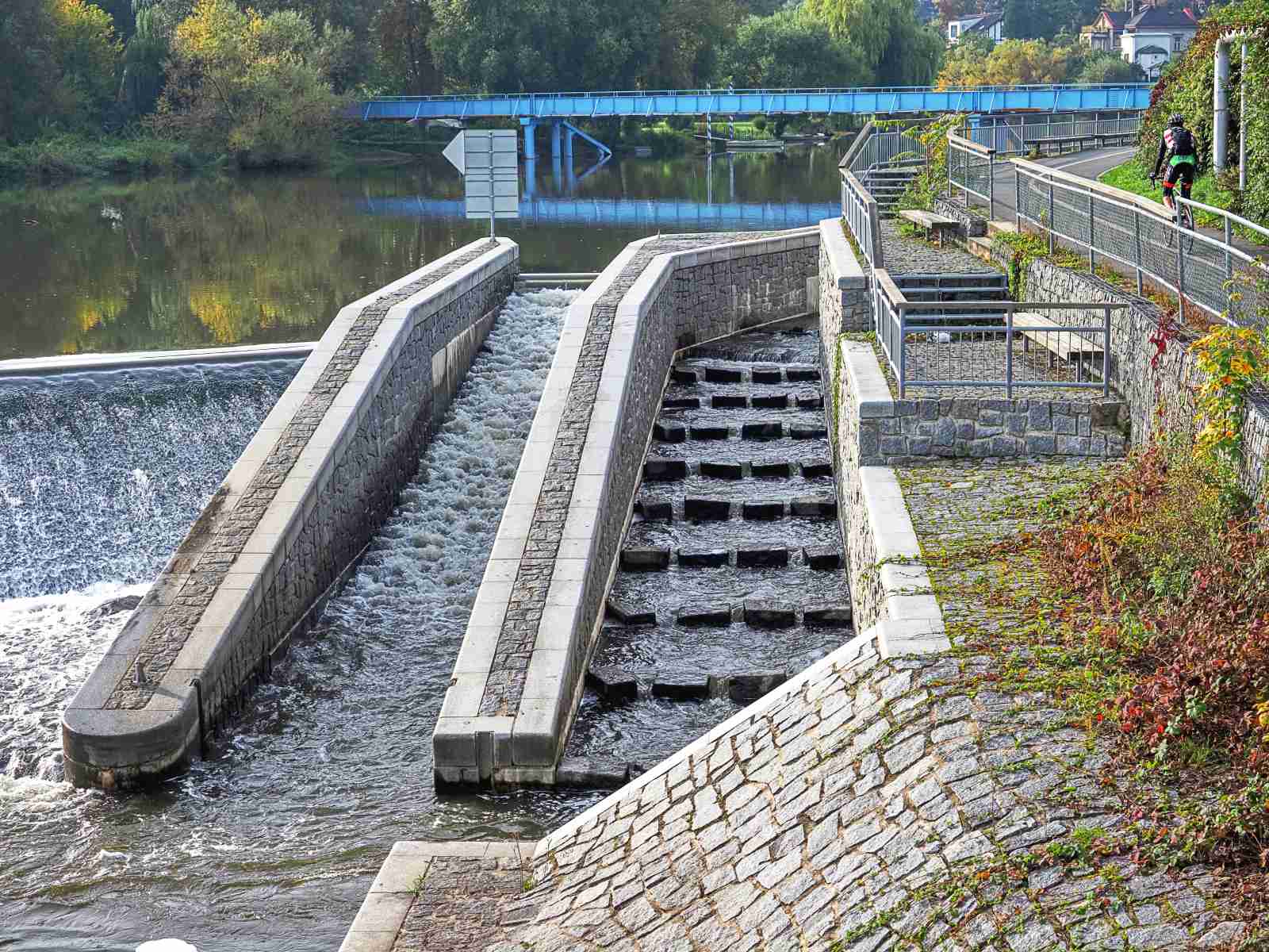rybí přechod