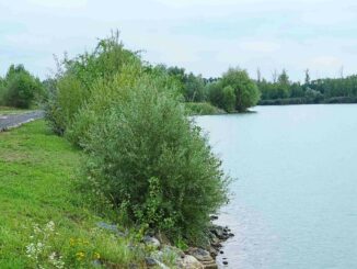 písková lhota