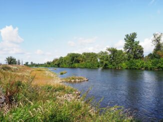vltava vraňany lužec