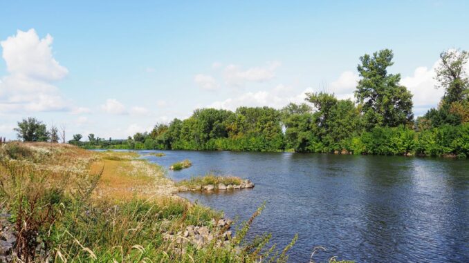 vltava vraňany lužec