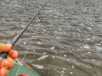low na rapala original