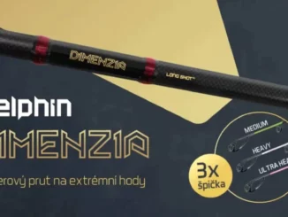 dimenzia