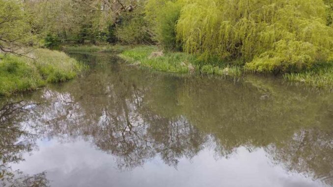 grand union canal