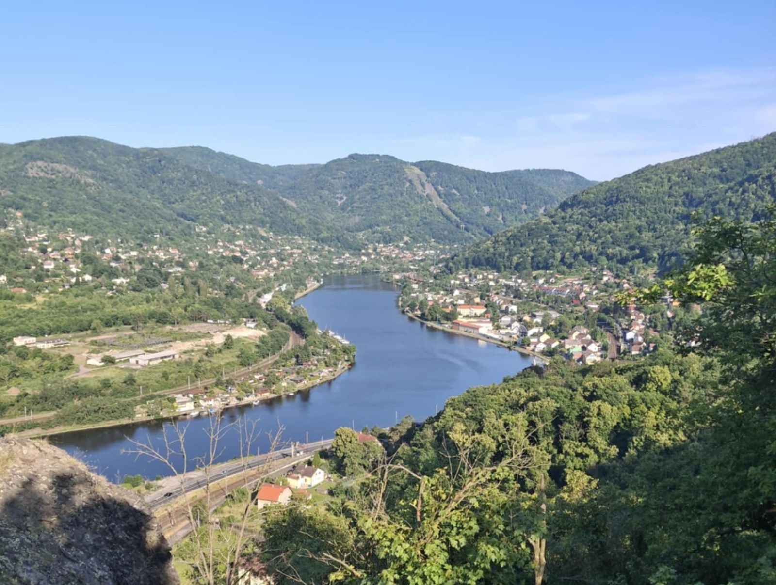 Sumce Český rybářský svaz vysazoval sumce a strhla se mela. Části rybářů je ...