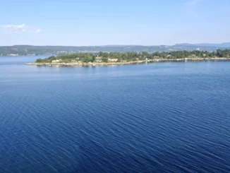 multiplikátor na moře Daiwa tanacom