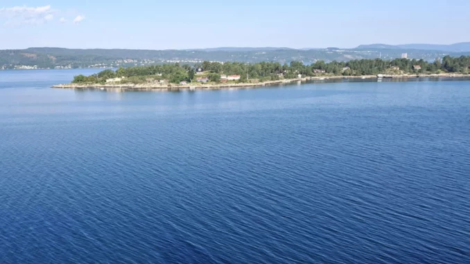 multiplikátor na moře Daiwa tanacom