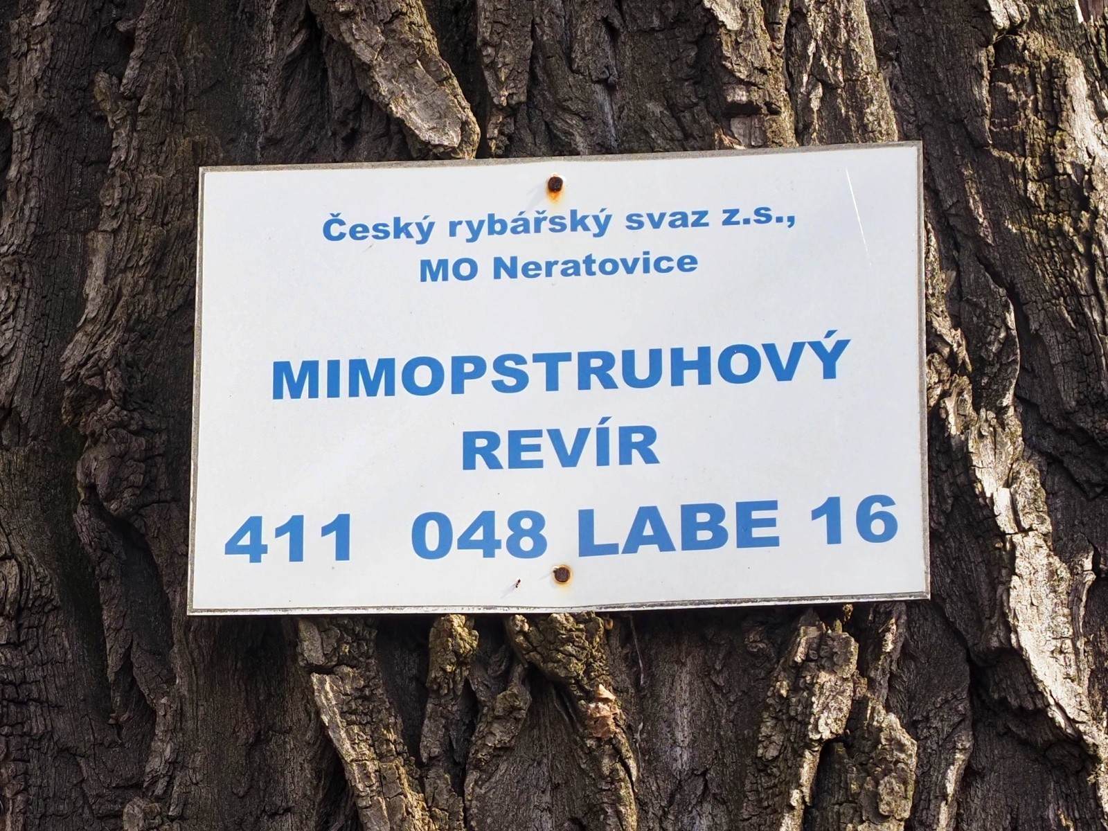 revír Labe 16