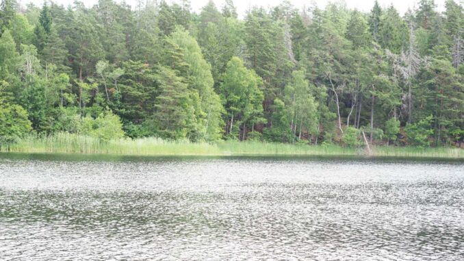 slezska harta