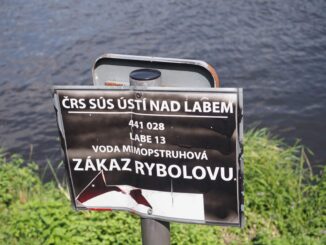 Labe 13