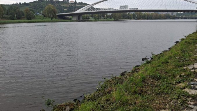 Vltava v Troji