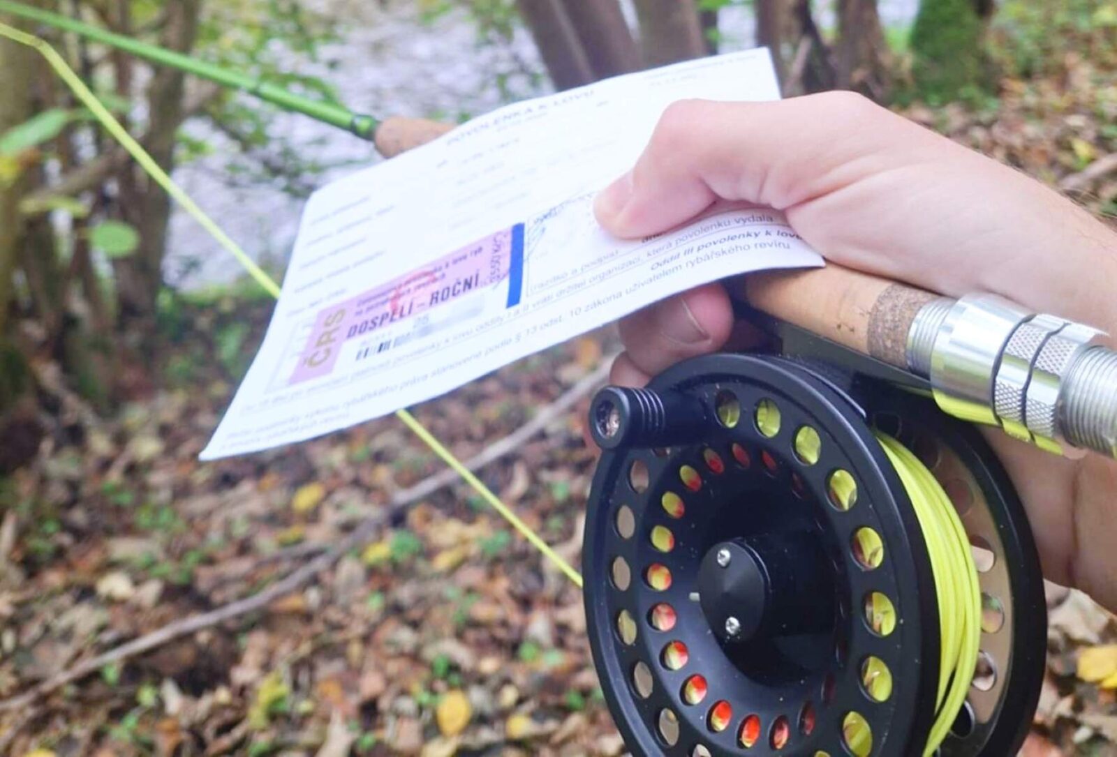 Ceny povolenek 202ž