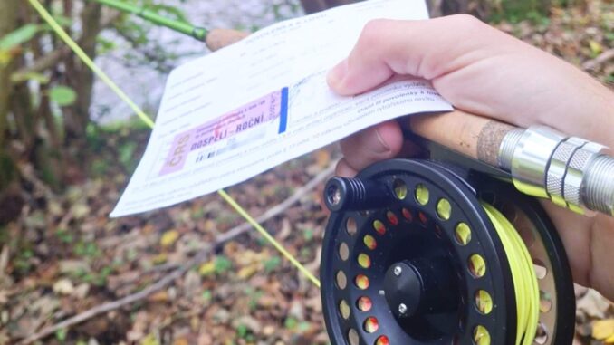 Ceny povolenek 202ž