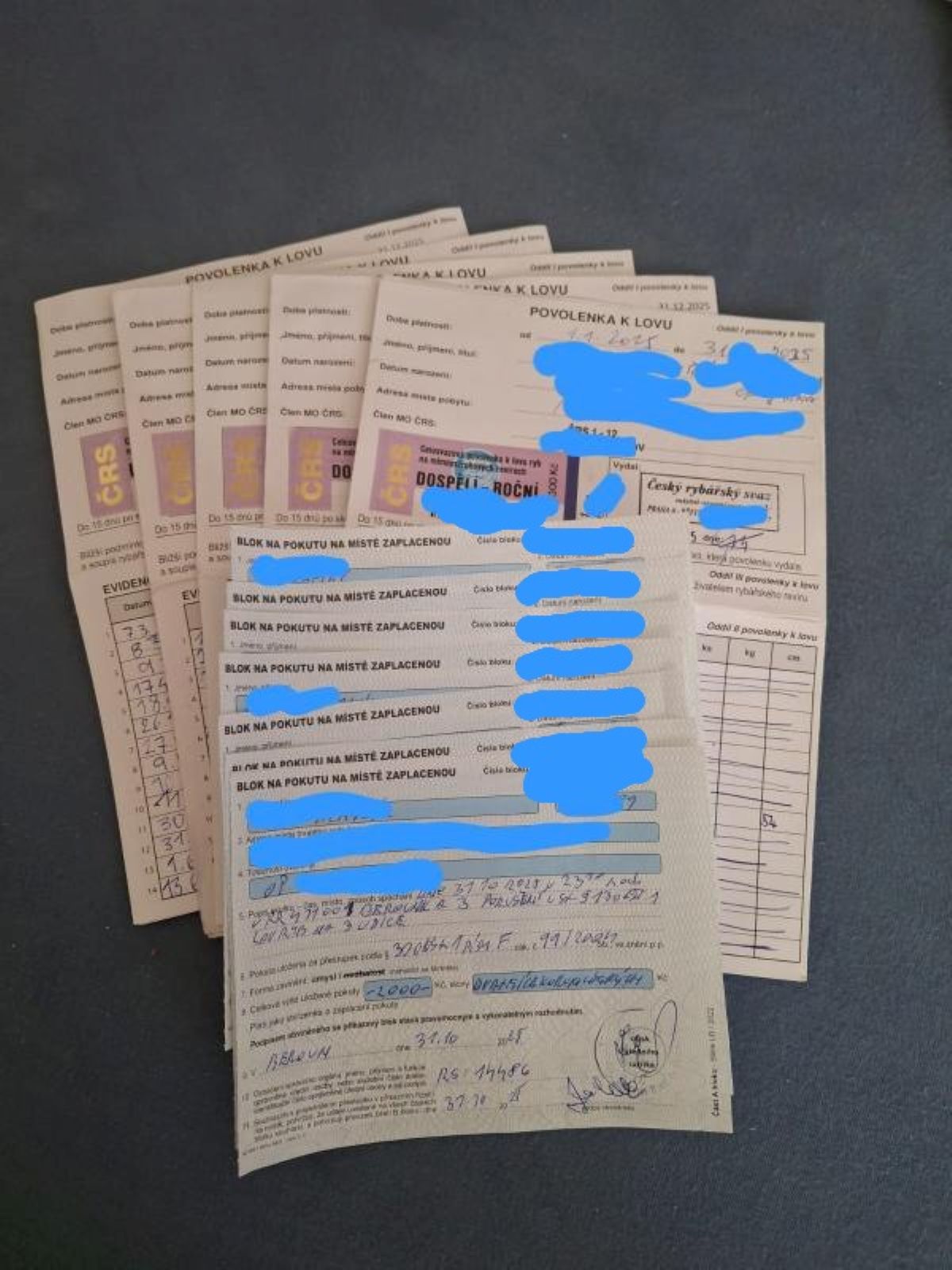 pokuty a odebrané povolenky