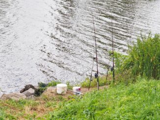 Jsou rybáři blázni?