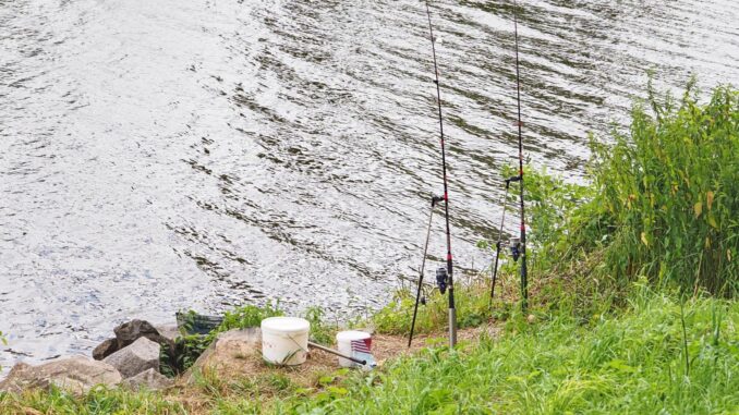 Jsou rybáři blázni?