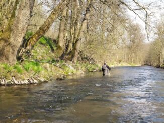 Podzimní lov na řece