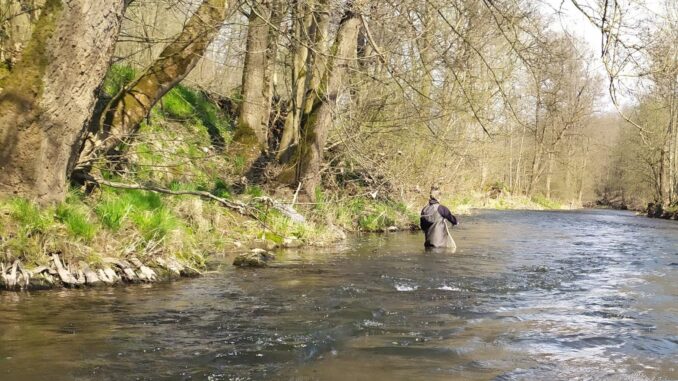 Podzimní lov na řece