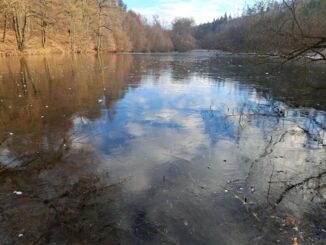 lov na dírkách 2026