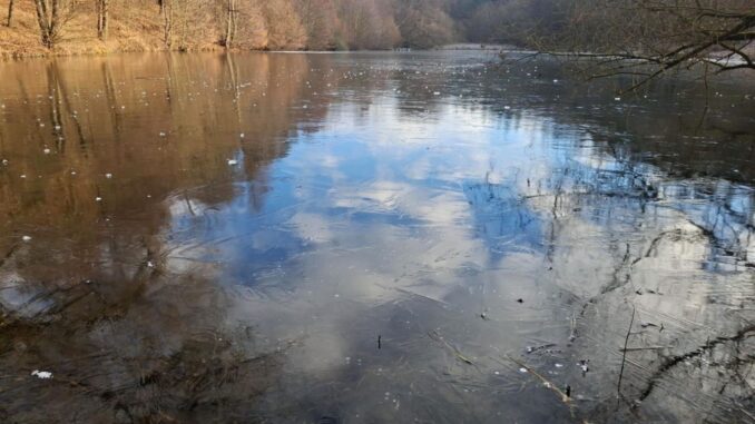 lov na dírkách 2026