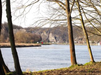 nový rok pro rybáře