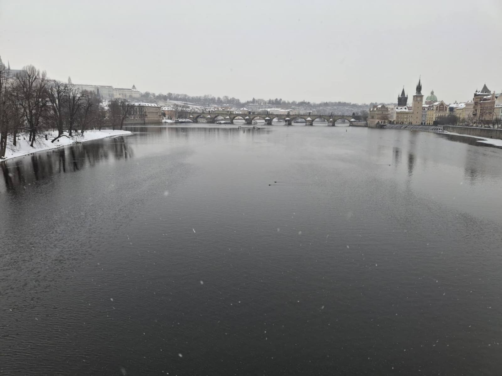 Vltava u Karlova mostu