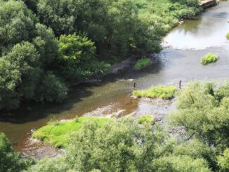 Rybolov Křivoklátsko