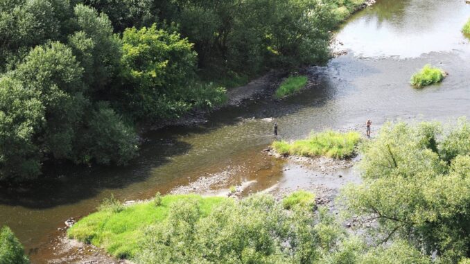 Rybolov Křivoklátsko