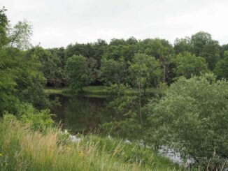 Ohře