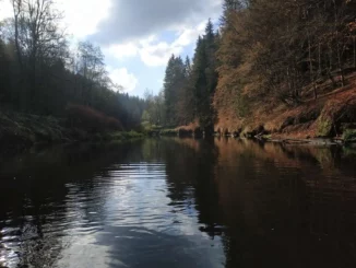 zátoka