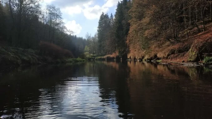 zátoka