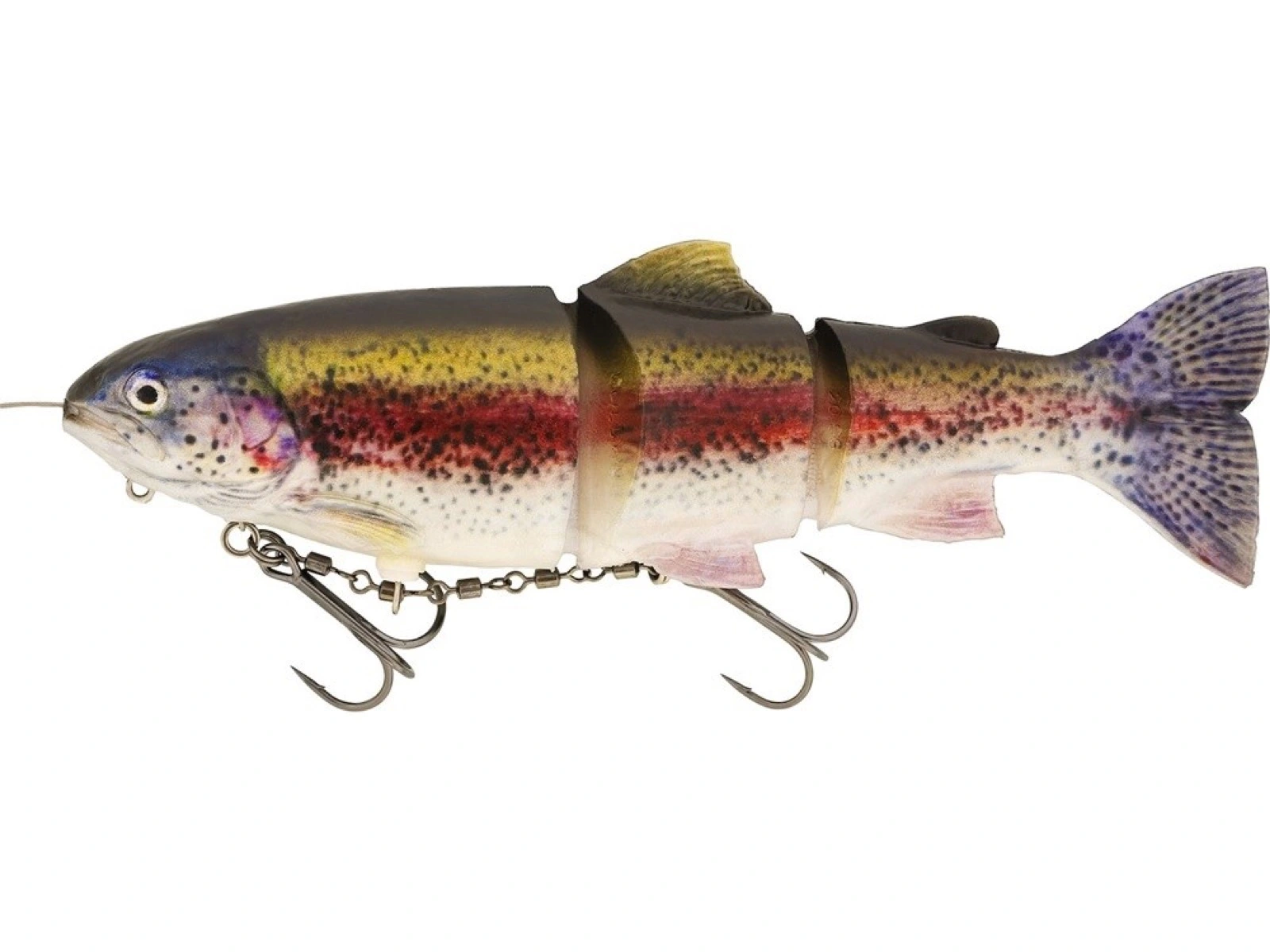 tommy the trout