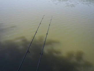 Kaprařina